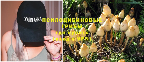 винт Бикин