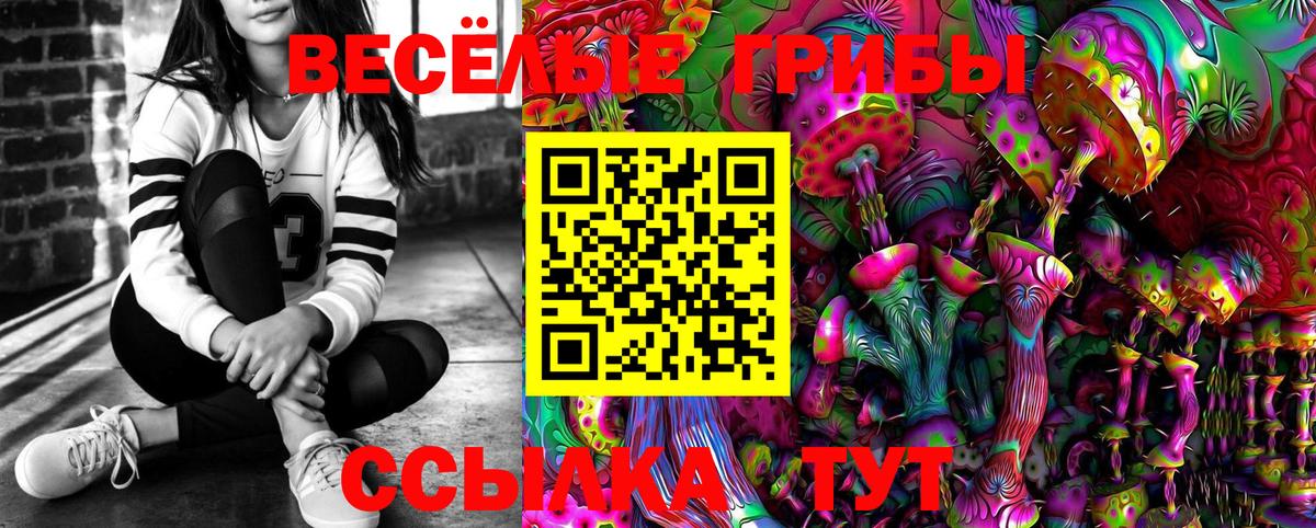 Псилоцибиновые грибы Psilocybe Курган