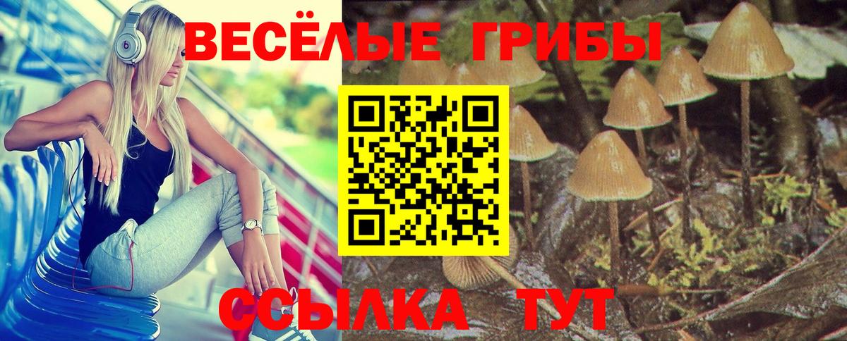 Курган  Псилоцибиновые грибы мицелий  Вход с VPN  Псилоцибиновые грибы GOLDEN TEACHER 