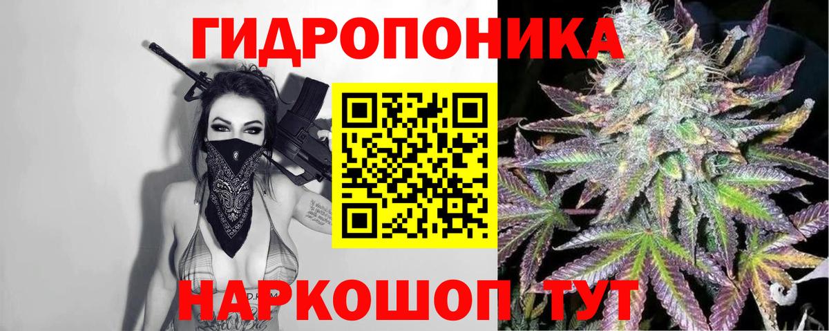 Шишки марихуана планчик  Бошки марихуана White Widow  Вход с VPN  Курган  Шишки марихуана тримм 